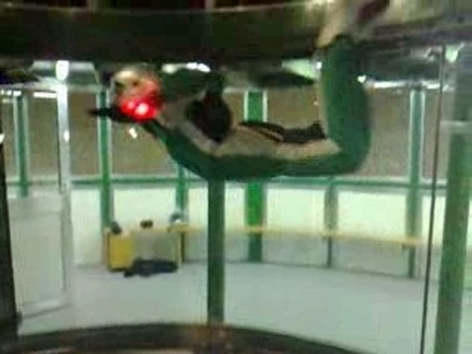 Simulation de chute libre florian