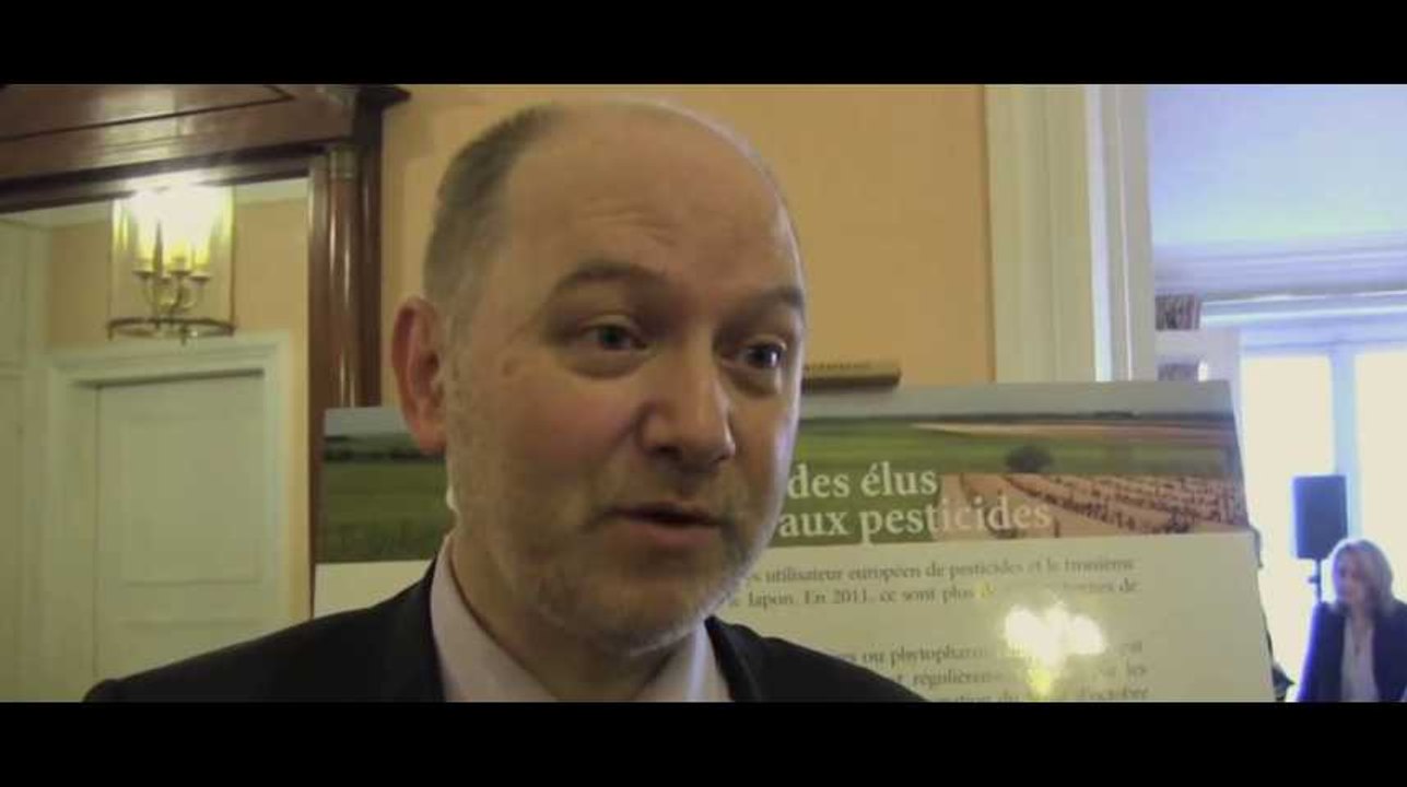 Denis Baupin invité au ministère, Cécile Duflot harcelée sur le net