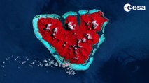 Mother Nature's Valentine: A Heart-Shaped Island Seen From Space