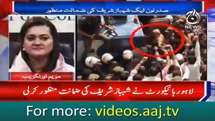 Maryam Aurangzeb response on Shahbaz bail