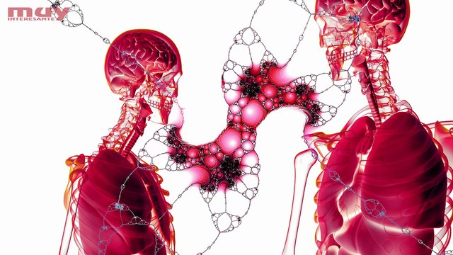 La bioquímica del amor - San Valentín