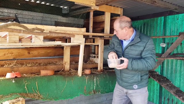 Une partie de nos cigognes se sont sédentarisées : Dominique KLEIN, ornithologue spécialiste des cigognes