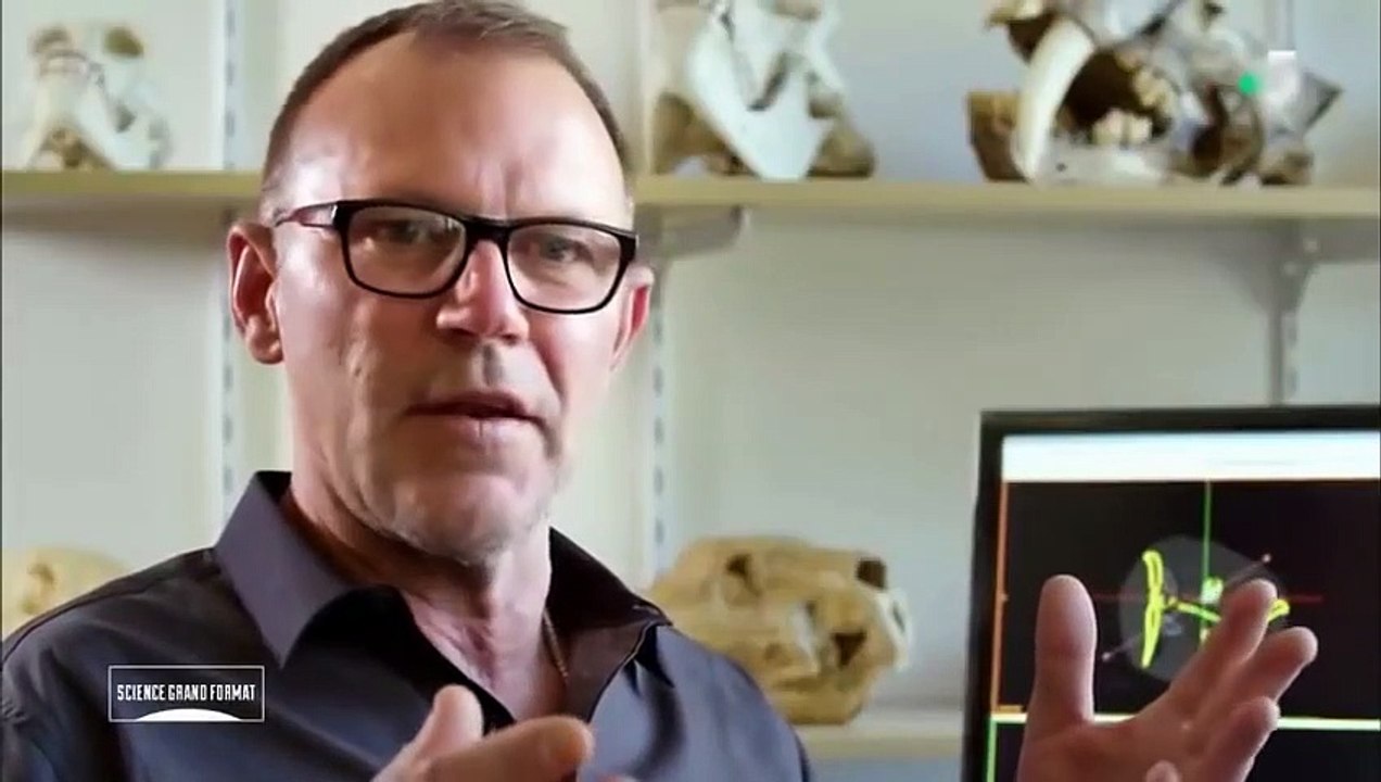 LES ANIMAUX GÉANTS - Documentaire prt 2/2