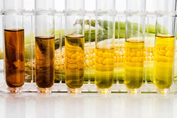 A brief look into bioenergy