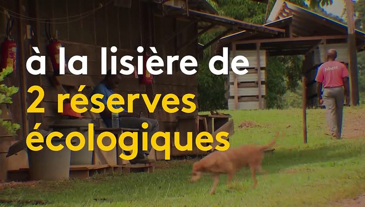 Guyane : petite victoire pour les opposants à la mine d'or géante