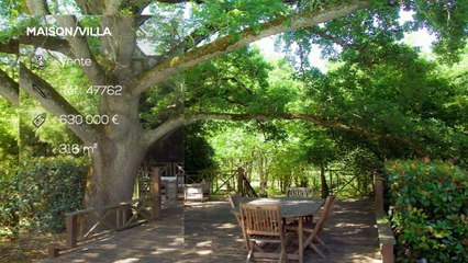 A vendre - Maison/villa - TOULOUSE (31000) - 8 pièces - 316m²