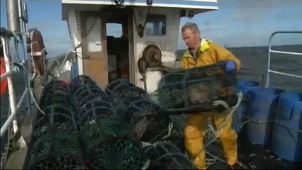 Sweden, UK, Ireland top Northeast Atlantic overfishing 'shame' list
