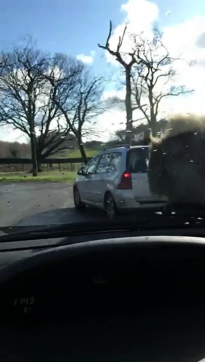 Ce singe vole l'essuie glace d'une voiture en route !