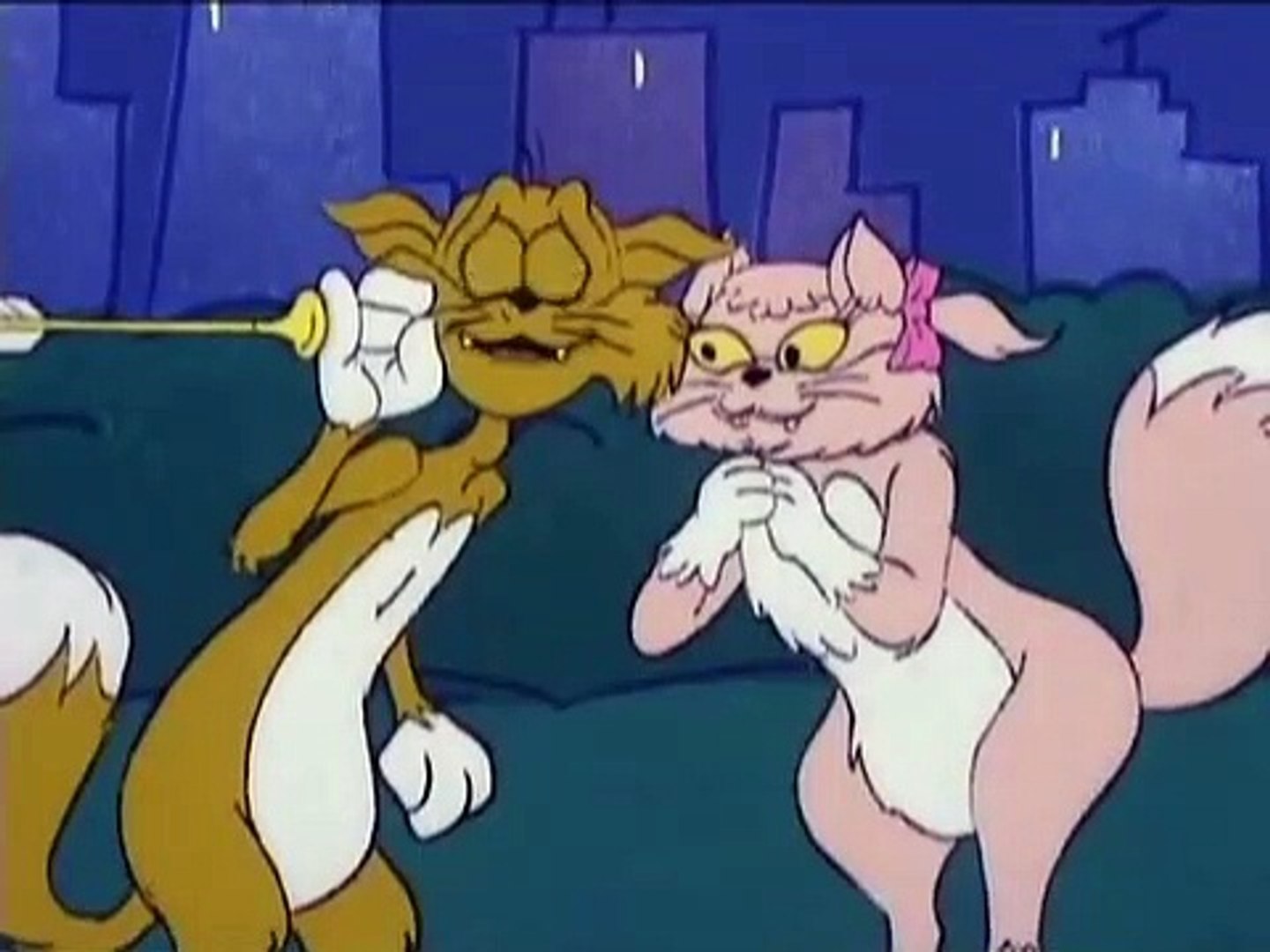 ⁣Fraidy Cat: CUPID CAT