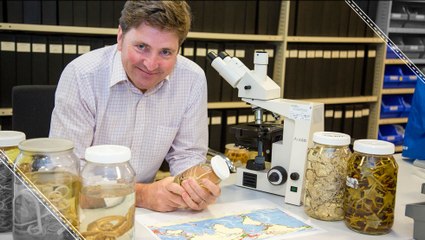 New Strange Marine Creatures Change Evolution Theory