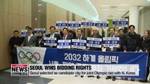 Seoul selected as candidate city for joint Olympic bid with N. Korea