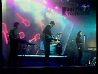 Diva Mapa Cor de Rock