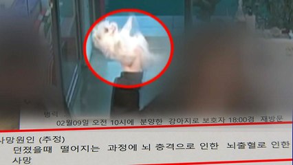 3개월 강아지 내던진 여성..."죽을 줄 몰랐다" / YTN