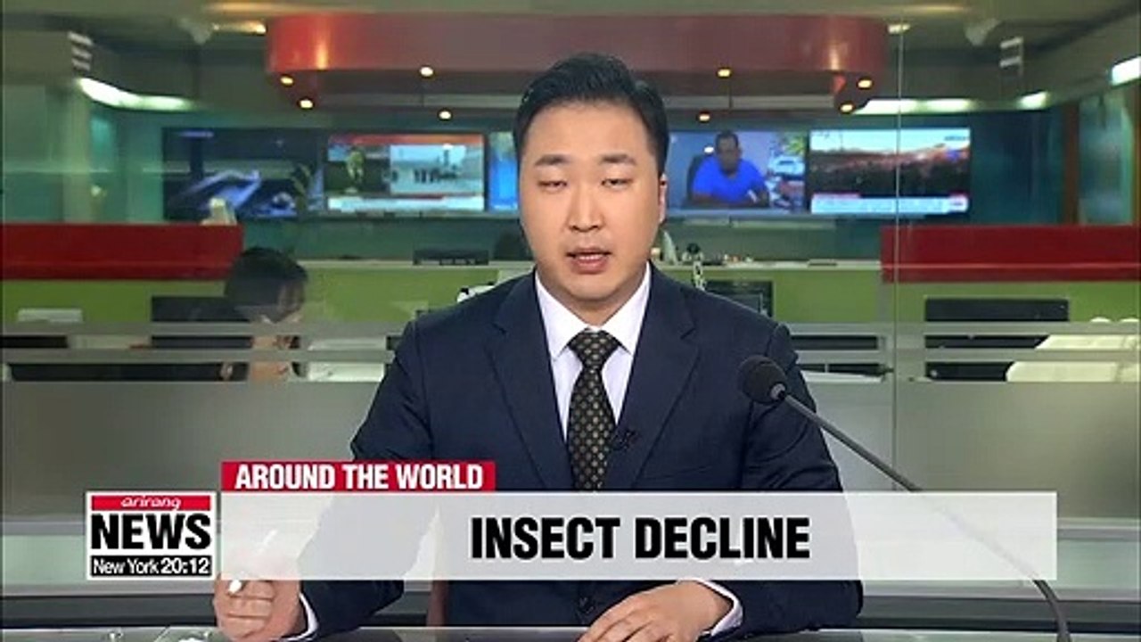Insect decline could have 'catastrophic' environmental impact