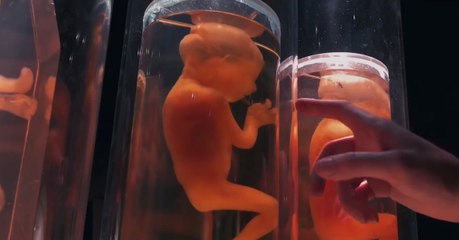 Chimera Strain Movie