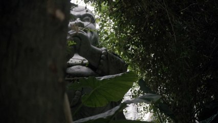 Tea Stream Valley - Shenzhen - February 2019