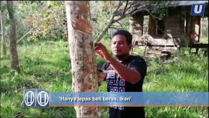 'Hanya lepas beli beras, ikan'