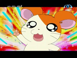 كرتون همتارو الجزء الرابع الحلقة ٢٧ (الصداقة الحقيقية) بدون موسيقى