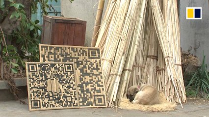 Weaving bamboo into QR codes