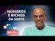 NÚMEROS E BICHOS DA SORTE! | João Bidu