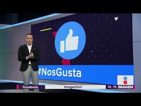 Así devoran una pizza miles de larvas de gusano ¡en 2 horas! | Noticias con Yuriria Sierra