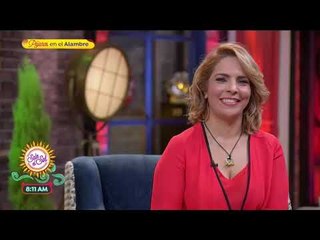 Programa completo 8 de febrero de 2019 | Sale el Sol