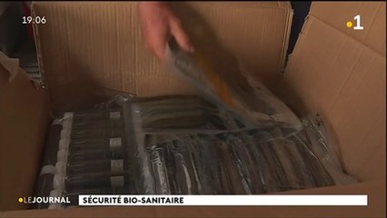 Guêpe foreuse, comment stopper l’arrivée des parasites