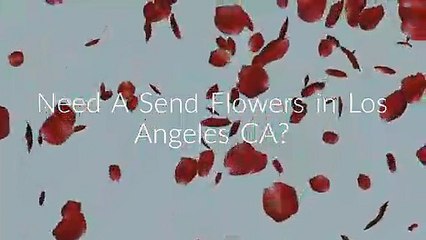 Same Day Send Flowers in Los Angeles, CA | 213-908-1591