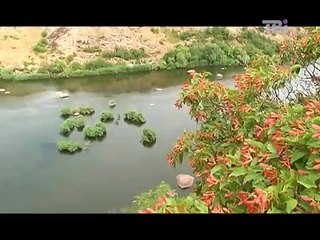 Seven natural wonders of Ukraine  Granite-steppe Pobuzh'ye