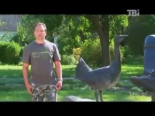 Seven natural wonders of Ukraine. Askania Nova