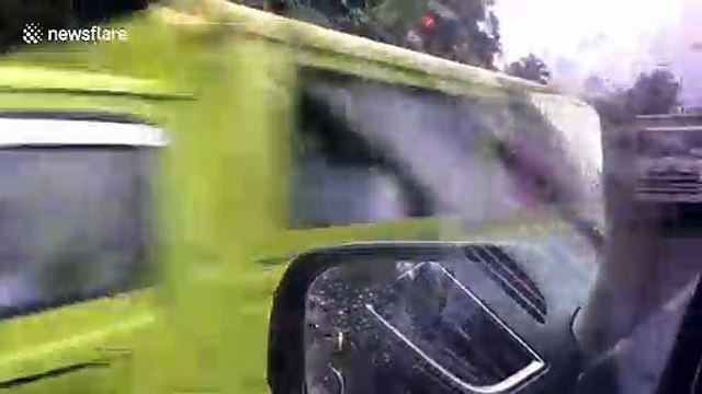 Pigs wander along mountain road after truck overturns in the Philippines