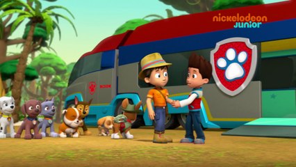 Paw Patrol : la Pat'Patrouille | L'anniversaire de Carlos | NICKELODEON JUNIOR