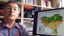 « La communication plurilingue dans le droit de l'UE : égalité d'accès, loyauté, identité », Joxerramon Bengoetxea Caballero, Professeur de philosophie du droit à l’université du Pays basque (communication pré-enregistrée et diffusée lors du colloque)