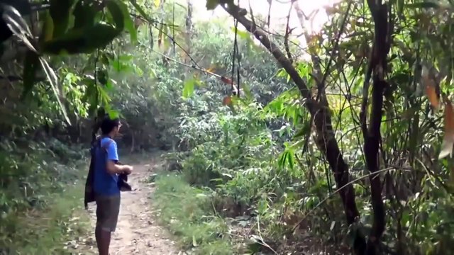 Elephant Extreme Close Calls - Up and Close with Giants