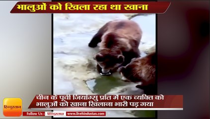 भालुओं को खाने की जगह फेंक दिया अपना महंगा iPhone