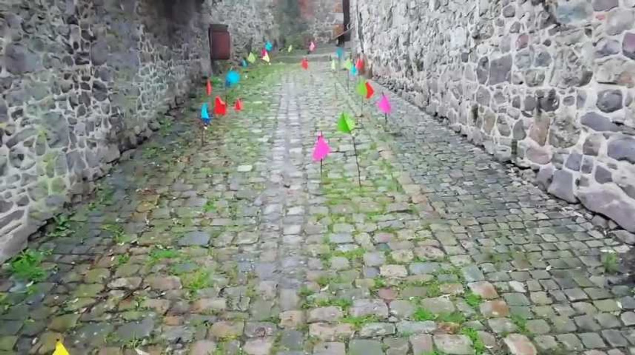 Campagne choc à Thuin contre les excréments de chien