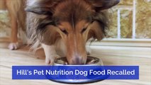 Pet Food Is Recalled Over Potentially Dangerous Ingredients