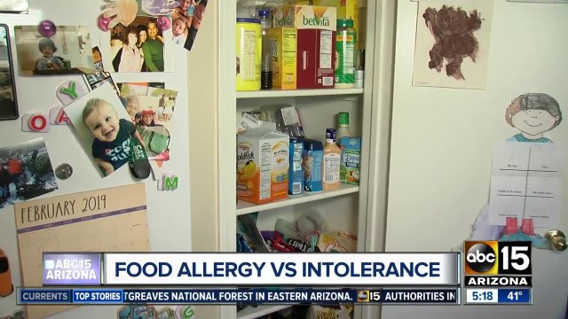 Food allergies vs intolerance what to know