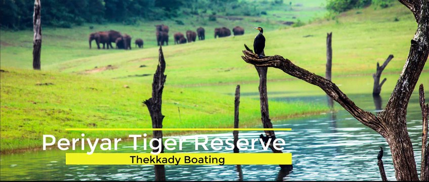 Periyar Tiger Reserve Boating Guide