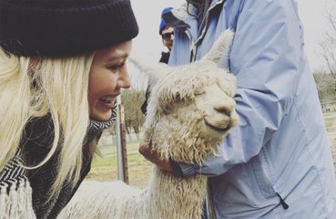 Hilary Duff adopts baby Alpaca