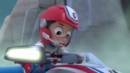 الكشف عن التمثال الذهب.. شاهد