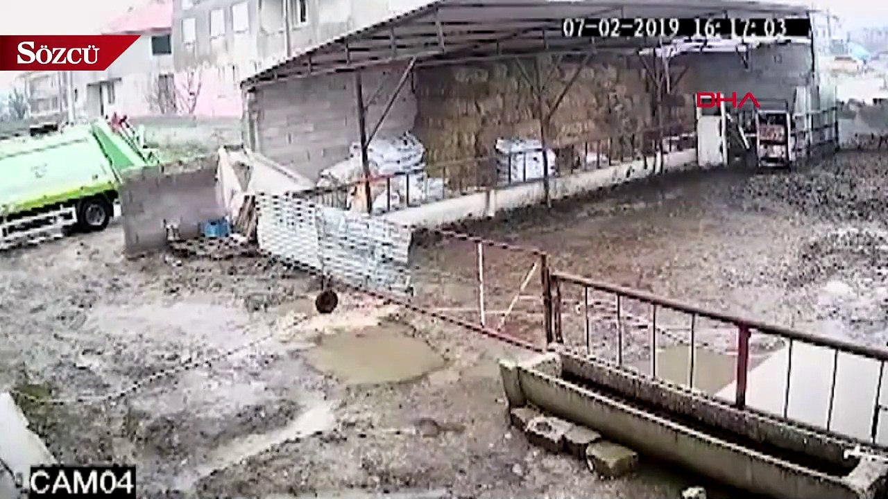 Uyuşturucu tüfekle vurulan köpek, çöp kamyonuna atılmış