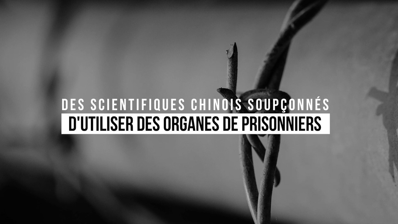 Scandaleux : des organes de détenus chinois utilisés pour plus de 400 études médicales