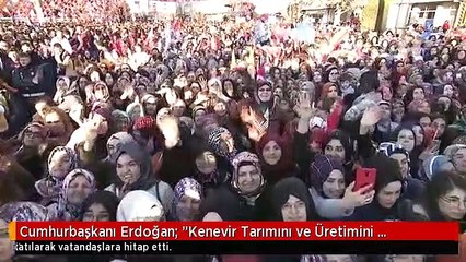 Cumhurbaşkanı Erdoğan: "Kenevir Tarımını ve Üretimini Artırırken Sanayisinin de Kurulmasına Öncelik...