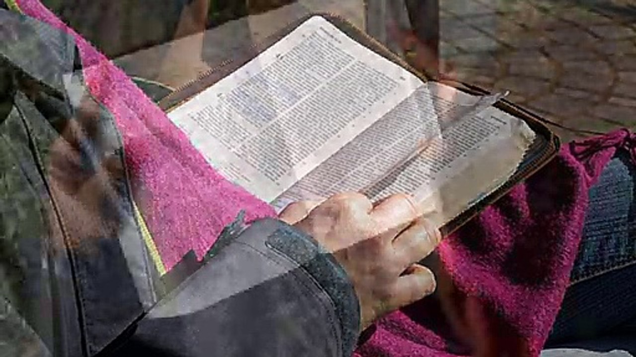 SALMOS 15 (NOVA TRADUÇÃO NA LINGUAGEM DE HOJE)
