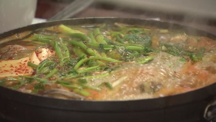 "국산 생태탕 불법 아니면 가짜"...명태 포획 전면금지 / YTN