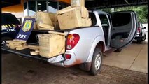 Condutor de veículo que transportava 467 kg de maconha é levado para delegacia