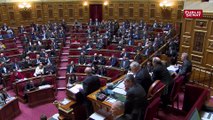 Privatisations : un sénateur LREM compare la coalition du Sénat à « l’arche de Noé »