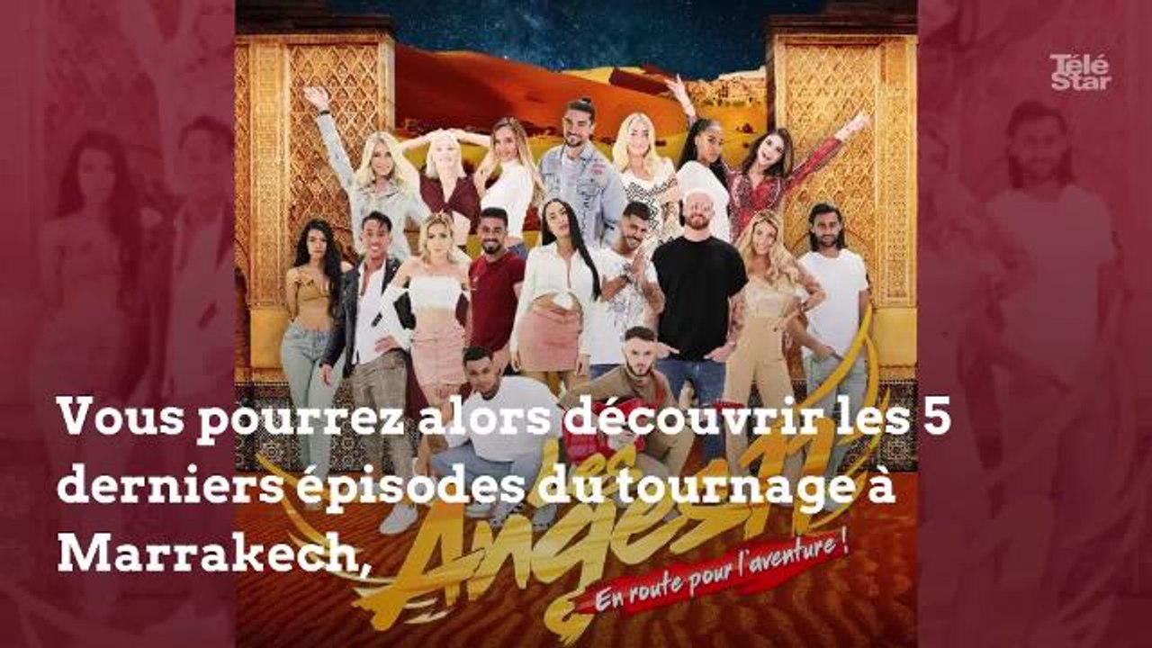 Après Marrakech, Les Anges 11 à Miami dès le 4 mars sur NRJ12 : découvrez le dispositif exceptionnel mis en place