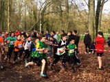 Départ course jeunes cross de Mortrée 2019